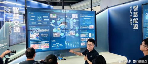 高質量發(fā)展調研行 開發(fā)工具軟件——軟件工業(yè)的明珠與人工智能應用軟件開發(fā)